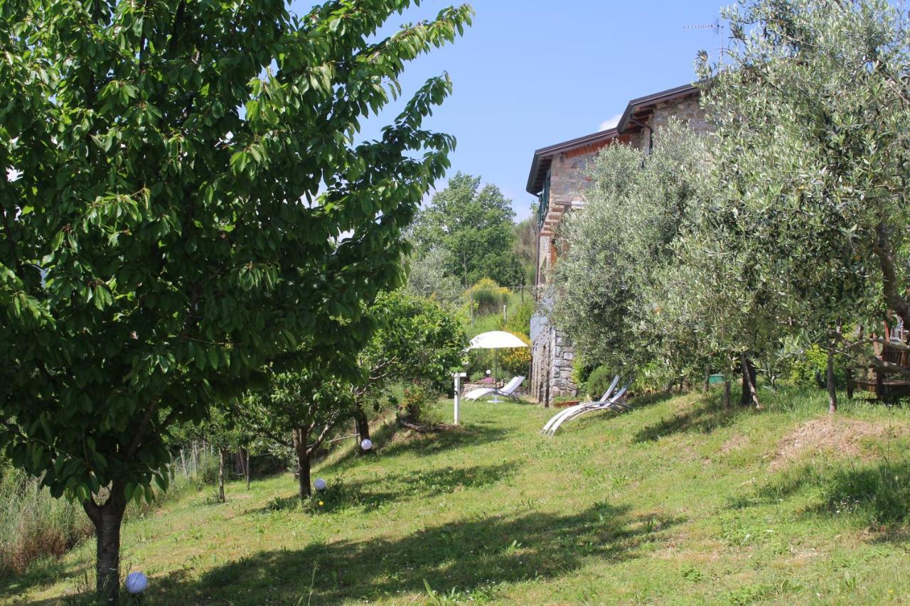 Agriturismo Angio Nel Cere Bracelli Экстерьер фото