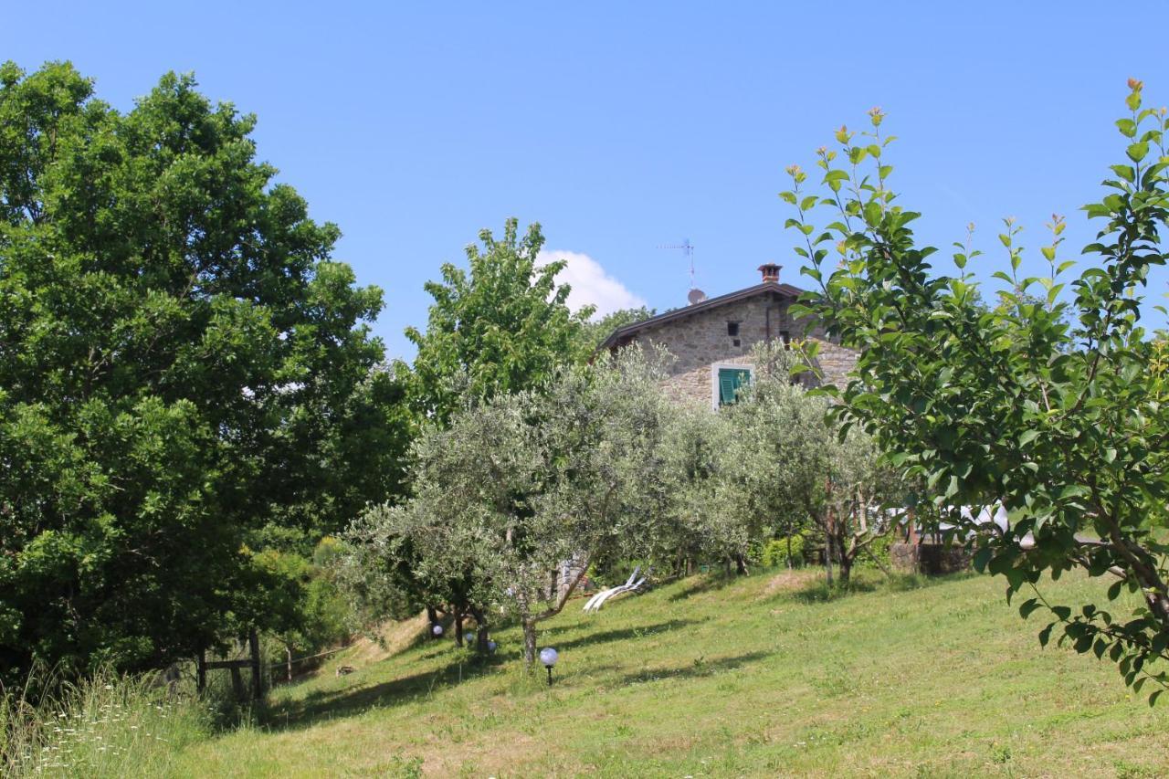 Agriturismo Angio Nel Cere Bracelli Экстерьер фото