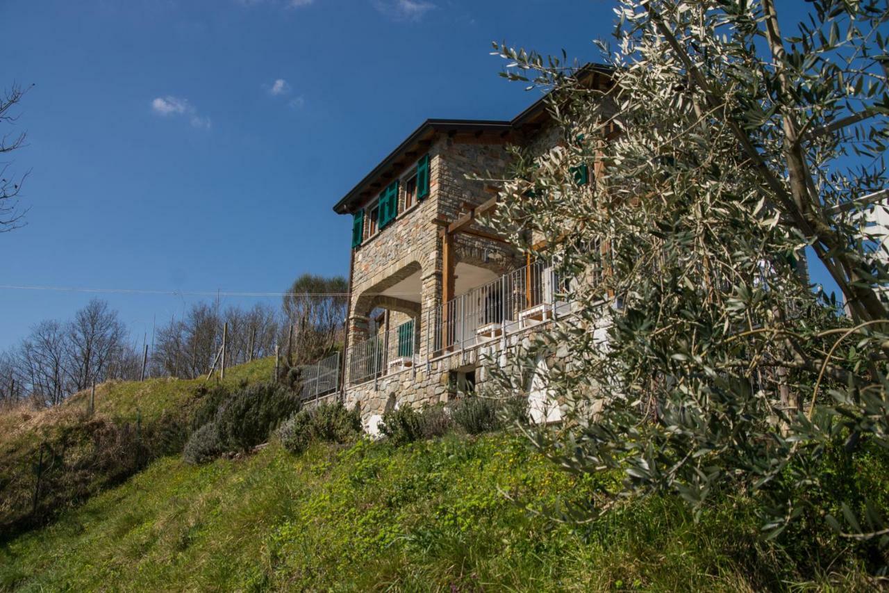 Agriturismo Angio Nel Cere Bracelli Экстерьер фото