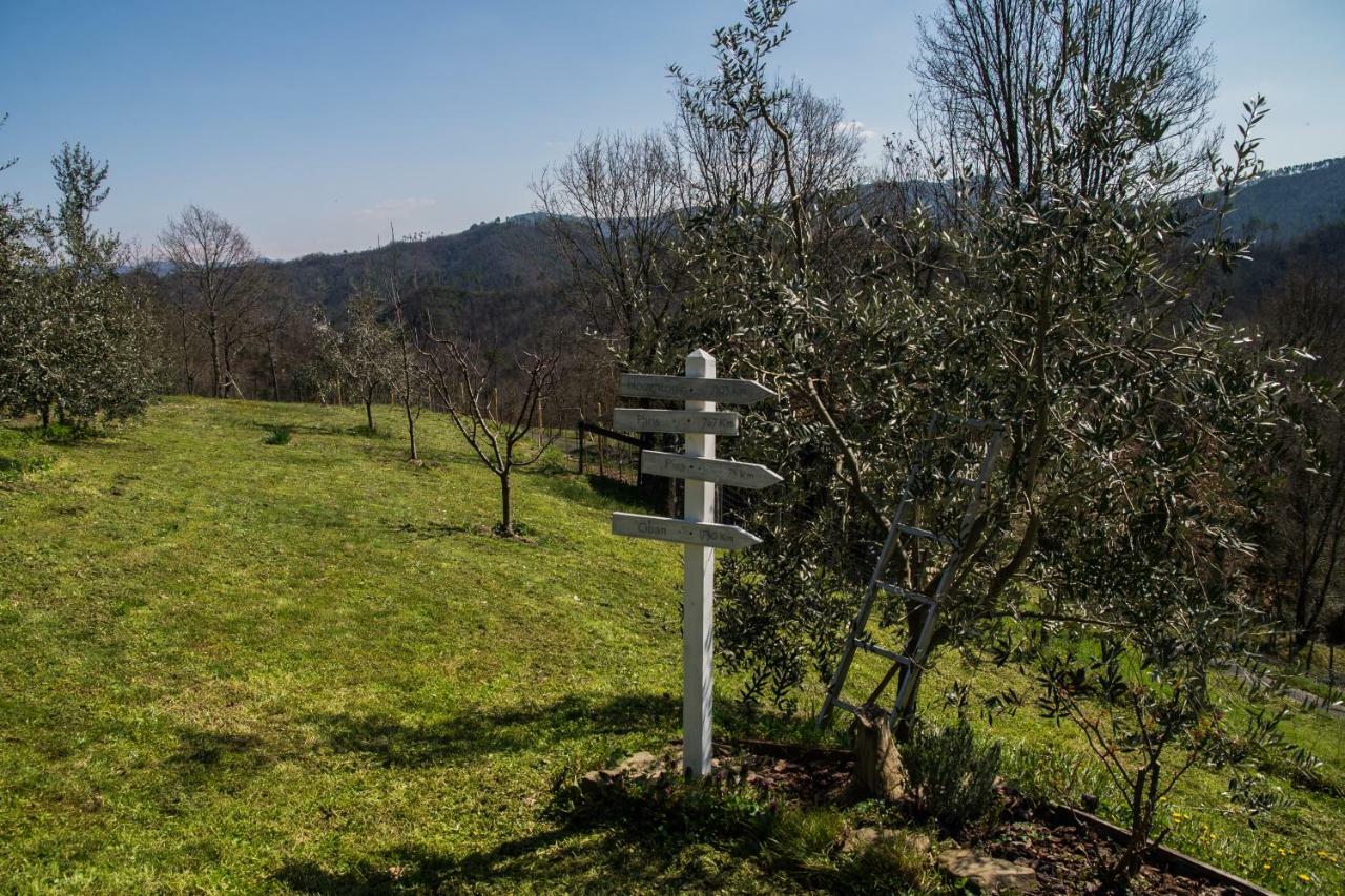 Agriturismo Angio Nel Cere Bracelli Экстерьер фото